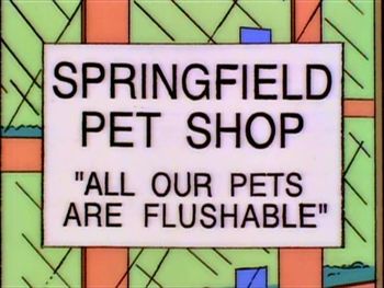 Springfield_Pet_Shop